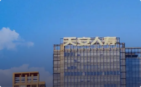 天安人壽
