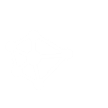 基礎(chǔ)數(shù)據(jù)統(tǒng)計(jì)分析